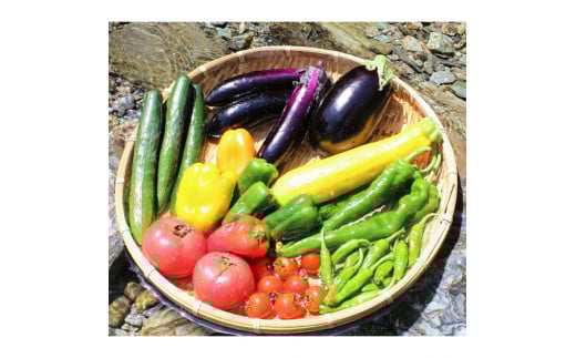 tthy4土佐れいほく野菜(4回お届け)