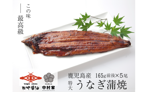 【120年老舗醤油蔵仕込みのたれと関門の塩】高級鰻 蒲焼 (165g前後)×5尾 合計825g前後 タレ付 山椒小袋 うなぎ 蒲焼き 冷凍 国産