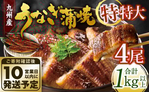九州産 うなぎ蒲焼 特特大4尾 (1尾あたり250~266g) 合計:1kg以上【順次発送】