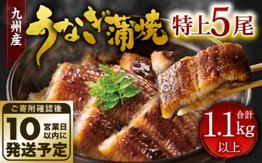 九州産 うなぎ 蒲焼 特上 5尾 計1.1kg以上 (1尾あたり220~235g)【順次発送】