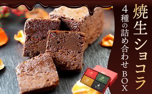 焼生ショコラ 4種 詰め合わせ BOX 計300g（各75g×4） ショコラ チョコレート お菓子