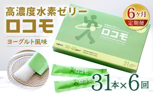 【6ヶ月定期便】 高濃度 水素ゼリー ロコモ 31本入り×6回  (1本10g) ゼリー 水素 N-アセチルグルコサミン エラスチン ヨーグルト風味 美容 健康 健康食品 定期便