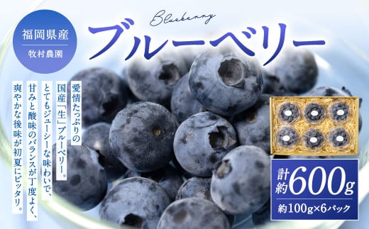 国産ブルーベリー 福岡県産 牧村農園 100g×6パック 【2026年6月上旬-7月上旬発送予定】フルーツ ベリー 小分け 果物 手摘み ジューシー 生 季節 旬 新鮮 福岡県 北九州市