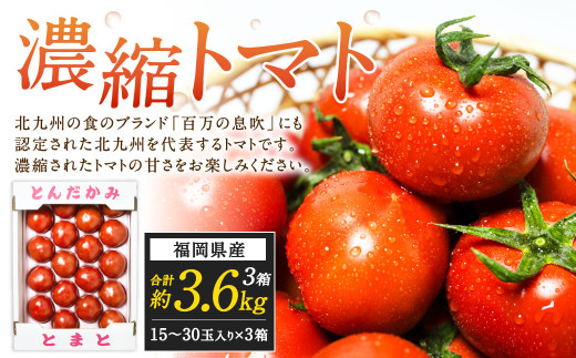 福岡県北九州市若松区産 若松濃縮トマト 約3.6kg 【1.2kg箱(15玉~30玉入り)×3箱】【2026年3月上旬~6月下旬発送予定】とまと トマト 野菜 国産 北九州市産