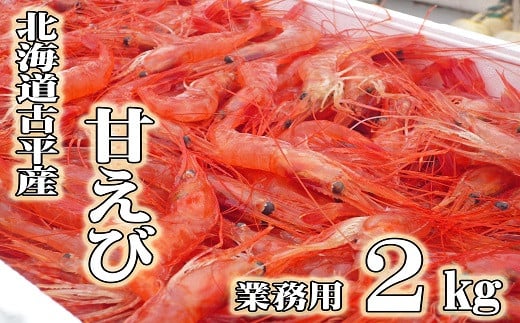 【210003】【業務用】北海道古平産 漁師直送！甘えび２kg