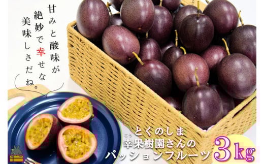 2067 [収穫開始!] 徳之島 幸(こう)果樹園さんのパッションフルーツ(3kg)( フルーツ 果物 旬 スイーツ 島 いいね 大容量 家族 夏 パッション 果樹 徳之島 奄美 鹿児島 幸果樹園)