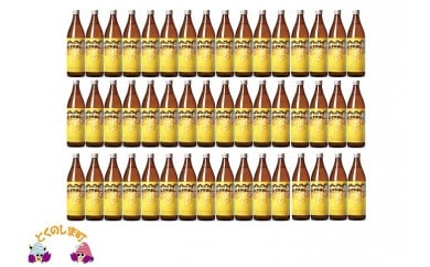 76　奄美本格黒糖焼酎　島のナポレオン　48本セット ( 蔵元直送 酒 プリン体ゼロ 糖質ゼロ 奄美 徳之島 鹿児島 晩酌 和食 洋食 島のナポレオン 奄美大島にしかわ酒造 )