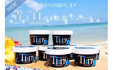 215~南の島からお届けします~青と白の本格塩ジェラートギフト ( ジェラート アイス 12個 塩 ミルク スイーツ 海 徳之島 奄美 鹿児島 美農里館 )