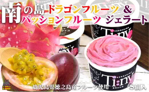 163 南の島の恵み！ドラゴン＆パッション プレミアムジェラート （8個入）( ジェラート アイス ドラゴンフルーツ パッションフルーツ 果物 フルーツ オリジナル 徳之島 奄美 鹿児島 スイーツ 美農里館 )