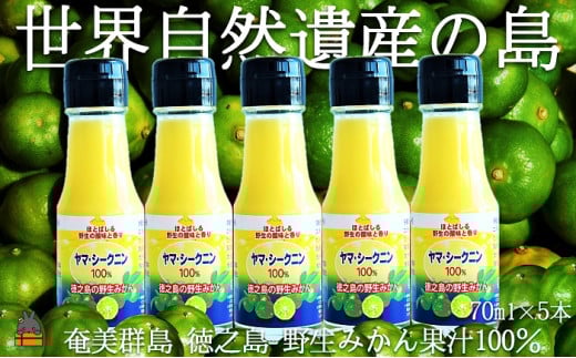 141 ~野生の島みかんの味~徳之島のヤマ・シークニン果汁(70ml×5本) ( 調味料 柑橘 果物 薬味 果汁 ドレッシング 野生みかん ジュース  ヤマシークニン みかん 奄美 鹿児島 鍋 焼き魚 料理  お酒 焼酎 酸味 美味しい ダイキチ食品 )