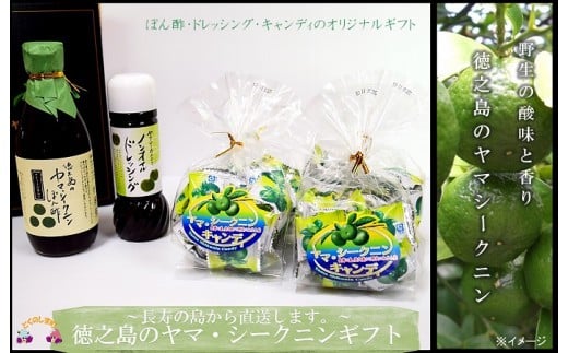 56~野生の酸味と香りがクセになる。~徳之島のヤマシークニンギフト