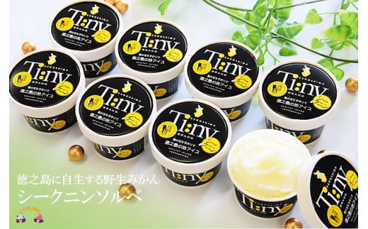 1275徳之島のスーパーフード！シークニンソルベ（8個）