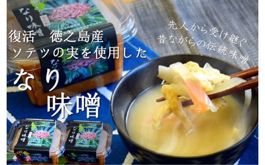 1393～徳之島産ソテツの実を使用～昔ながらのなり味噌（無添加） ( 味噌 みそ 調味料 ソテツ 伝統 徳之島 奄美 鹿児島 文化庁 100年フード 郷土料理 美味しい )