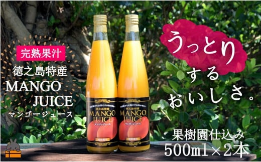 1826～うっとりするおいしさ～徳之島のマンゴージュース（2本）（ 完熟マンゴー ジュース ドリンク フルーツ 果物 果汁 美味しい ビタミン スイーツ 南の島 奄美 鹿児島 ）