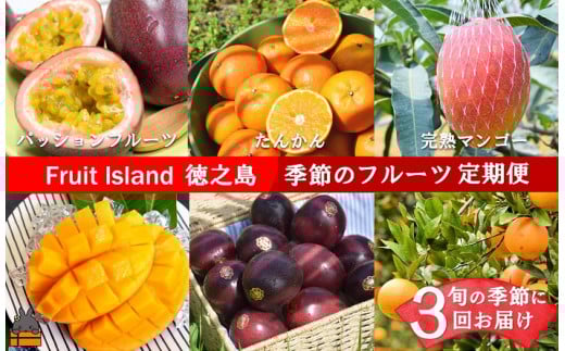 1903《限定受付》フルーツアイランド徳之島 季節のフルーツ定期便 ( 3回お届け 完熟マンゴー マンゴー パッションフルーツ たんかん 柑橘 果物 徳之島 奄美 鹿児島 定期便 世界自然遺産 旬 )
