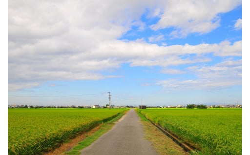 活力あふれるにぎわいづくり