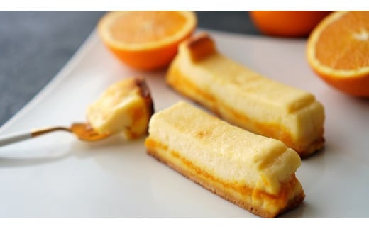 チーズケーキ3℃~さんど~食べ比べ5本セット