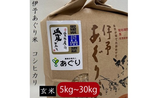 【選べるキロ数】米 玄米 5kg 伊予あぐり米「コシヒカリ」 令和7年産 米 農薬・化学肥料不使用 |米 玄米 令和7年産 米 お米 こめ 農薬・化学肥料不使用 こだわりのお米  愛媛県 松前町 松前 まさき 愛媛 えひめ おこめ 有限会社あぐり 愛媛県産米 松前町産米 美味しいお米 おにぎり   お米 贈答 贈り物 愛媛県 松前町 有限会社あぐり