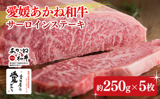 【昭和50年創業】愛媛あかね和牛サーロインステーキ(約250g×5枚) | 国産 和牛 牛肉 ブランド牛 ステーキ 焼肉 冷蔵 愛媛県 松前町 BBQ  バーベキュー