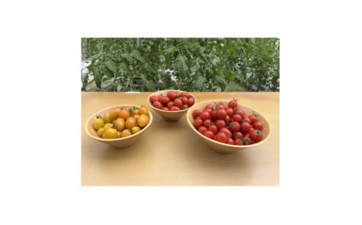 新ミニトマト甘っこミックスセット【1483676】