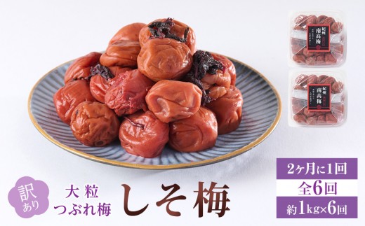 訳あり 梅干し 大粒 大玉 つぶれ梅 しそ梅 約1kg (500g×2)  × 6回 塩分10% [ 定期便 2か月に１回発送・全6回 ]
