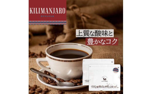 とびだす焙煎所 キリマンジャロ 500g(250g×2袋) 【粉】