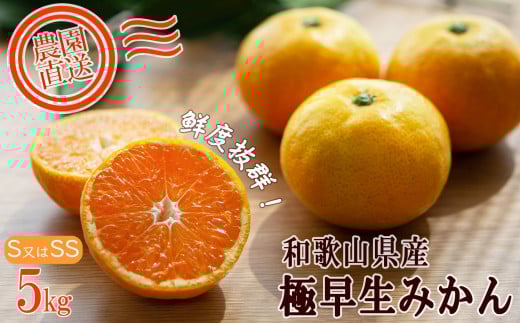 極早生みかん 約5kg 小粒SS・Sサイズおまかせ 《赤秀》 和歌山県産 農園直送 まごころ産直みかん 【10月中旬より発送開始】【北海道・沖縄県・一部離島 配送不可】SSサイズ 2S 小玉 贈答 ［Mg16］