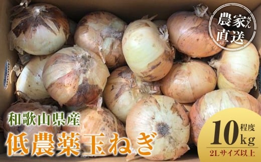 ［2026年発送分・先行予約］農家さん直送 低農薬玉ねぎ 2Lサイズ以上 10kg程度［4月中旬～7月中旬頃発送予定］［KF15］
