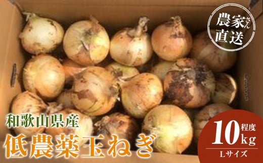 ［2026年発送分・先行予約］農家さん直送 低農薬玉ねぎ Lサイズ 10kg程度［4月中旬～7月中旬頃発送予定］［KF16］