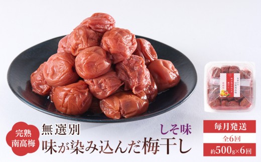 無選別 和歌山の完熟南高梅 味が染み込んだ梅干し しそ味 500g 塩分10％ [定期便 毎月発送・全6回]