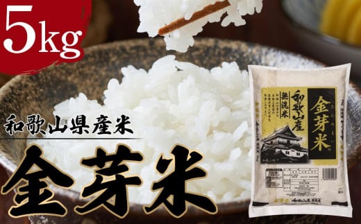 和歌山県産米 金芽米 5kg 令和6年度産