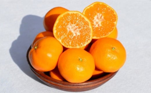 ［先行予約］和歌山県産 みかん 秀品 箱込約10kg（約9kg＋保証分500g）