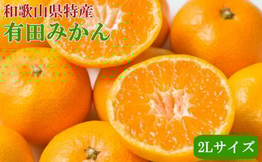 [秀品]和歌山有田みかん約6kg(2Lサイズ)★2025年11月中旬頃より順次発送【TM84】