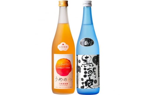 焼酎 黒潮波（くろしおなみ）720mlと紀州完熟南高梅「梅酒」720mlの2本セット【TM19】