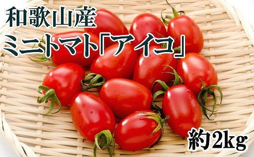 ［2026年6月出荷分］和歌山産ミニトマト「アイコトマト」約2kg（S・Mサイズおまかせ）［TM166］