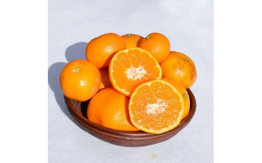 ［先行予約］訳ありみかん 約10kg(箱込み）　和歌山県産