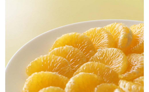 訳あり八朔  約10kg（箱込み） 和歌山県産