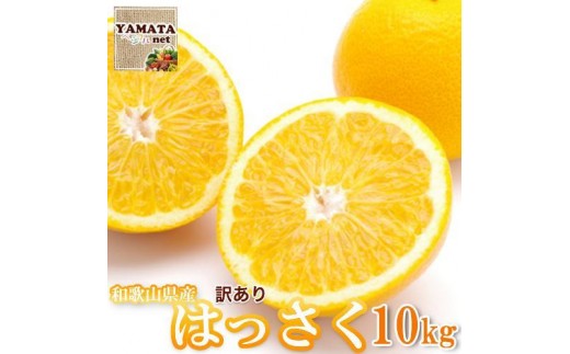 【訳あり】はっさく 和歌山産 八朔 10kg 【ご自宅用・サイズ不揃い・キズ等あり】