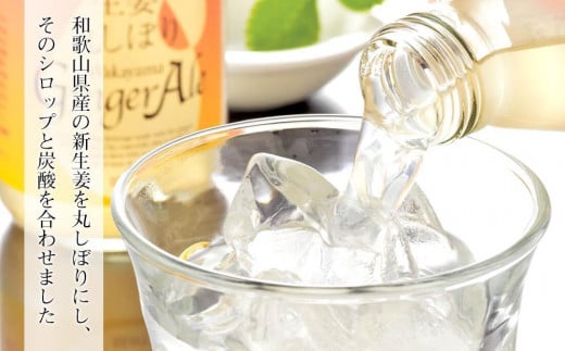 生姜丸しぼりジンジャーエール12本セット