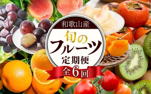 和歌山の旬の果実を 奇数月にお届け全6回定期便(キウイ・清見オレンジ・ミニトマト・桃・ピオーネ・富有柿)【TM62】