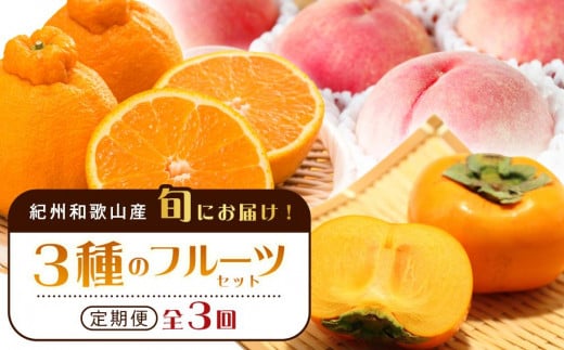 紀州和歌山産 旬にお届け!3種のフルーツセット(不知火・桃・ひらたね)【UT58】