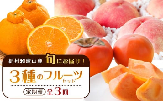 紀州和歌山産 旬にお届け!フルーツセット(不知火・桃・富有柿)【UT59】