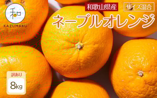 訳あり 森本農園の手選別 ネーブルオレンジ 8kg 和歌山県産 サイズ混合 ［北海道・沖縄・離島配送不可］［RN20］［2026年1月上旬から順次発送］