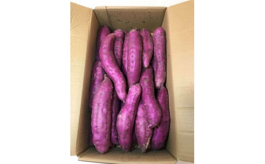 和歌山県産 水軒金時 さつまいも 2Lサイズ 約 5kg 2026年 発送 先行予約