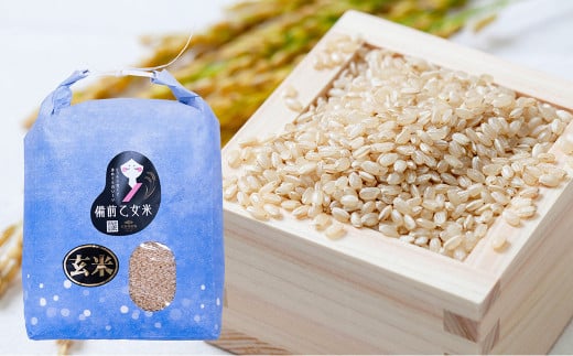 備前乙女米 玄米 5kg×2袋（計約10kg）【2025年10月下旬～2026年9月下旬発送予定】 ／ お米 米 おこめ こめ コメ ご飯 ライス モチモチ 石原果樹園 岡山県 美咲町