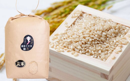 備前乙女米 玄米 10kg×2袋（計約20kg）【2025年10月下旬～2026年9月下旬発送予定】 ／ お米 米 おこめ こめ コメ ご飯 ライス モチモチ 石原果樹園 岡山県 美咲町