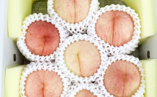 岡山の白桃 約2kg 【2026年7月下旬-8月上旬発送予定】 ／ 白桃 桃 もも 大久保白桃 あかつき なつおとめ 果物 果実 フルーツ 国産 岡山県 美咲町 冷蔵