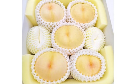 岡山県美咲町産 桃 【おかやま夢白桃】約2kg 【2026年7月下旬-8月下旬発送予定】 ／ 白桃 もも 果物 果実 フルーツ 国産 岡山県 美咲町 冷蔵