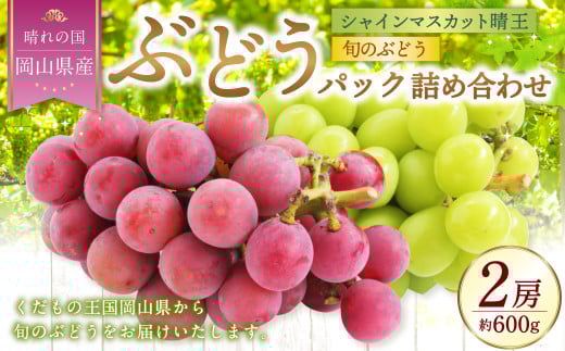 岡山県産 ぶどうパック詰合せ ※2種2パックセット ( シャインマスカット ・ 旬のぶどう ) 【2025年9月上旬~11月下旬発送予定】 / ぶどう ブドウ 葡萄 種なし 種無し マスカット 晴王 はるお 旬の葡萄 フルーツ 果物 くだもの 果実