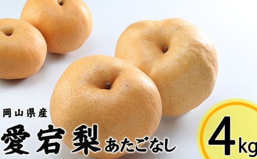 あたご梨 3～6玉 約4kg 【2025年11月下旬～12月下旬迄発送予定】 愛宕梨 梨 なし 和梨 果物 果実 フルーツ 大玉 岡山県 美咲町 常温